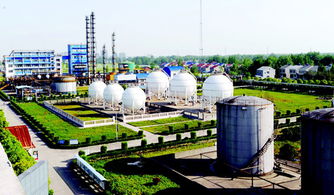 潛江聚力促發(fā)展，強招商打造新能源新材料產(chǎn)業(yè)新高地